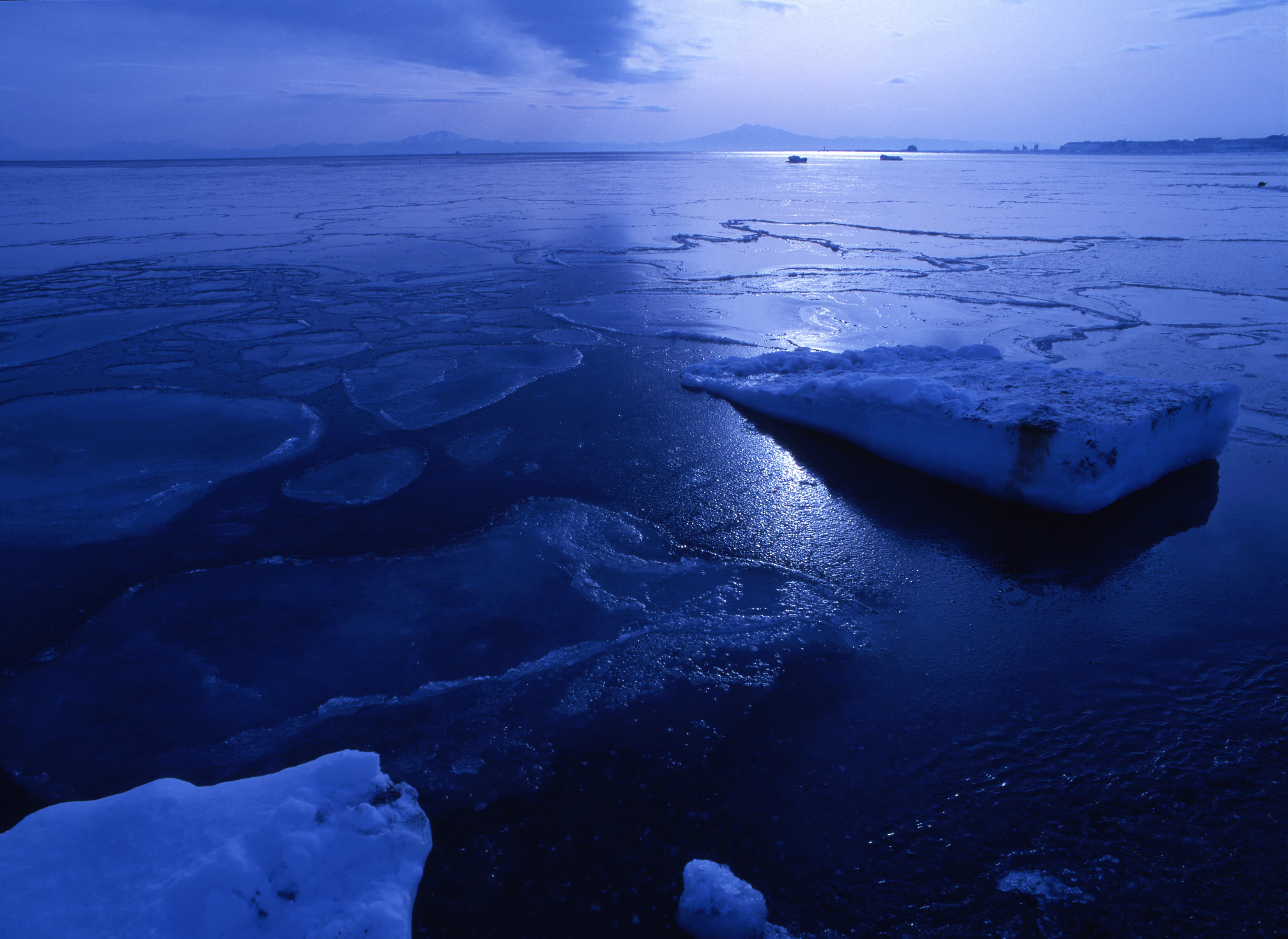 【テスト】AIタスクフォース合宿レポート——約60名が参加した2日間の集中ワークショップで見えてきた組織変革の可能性とAI活用の未来像について議論した内容をお届けします