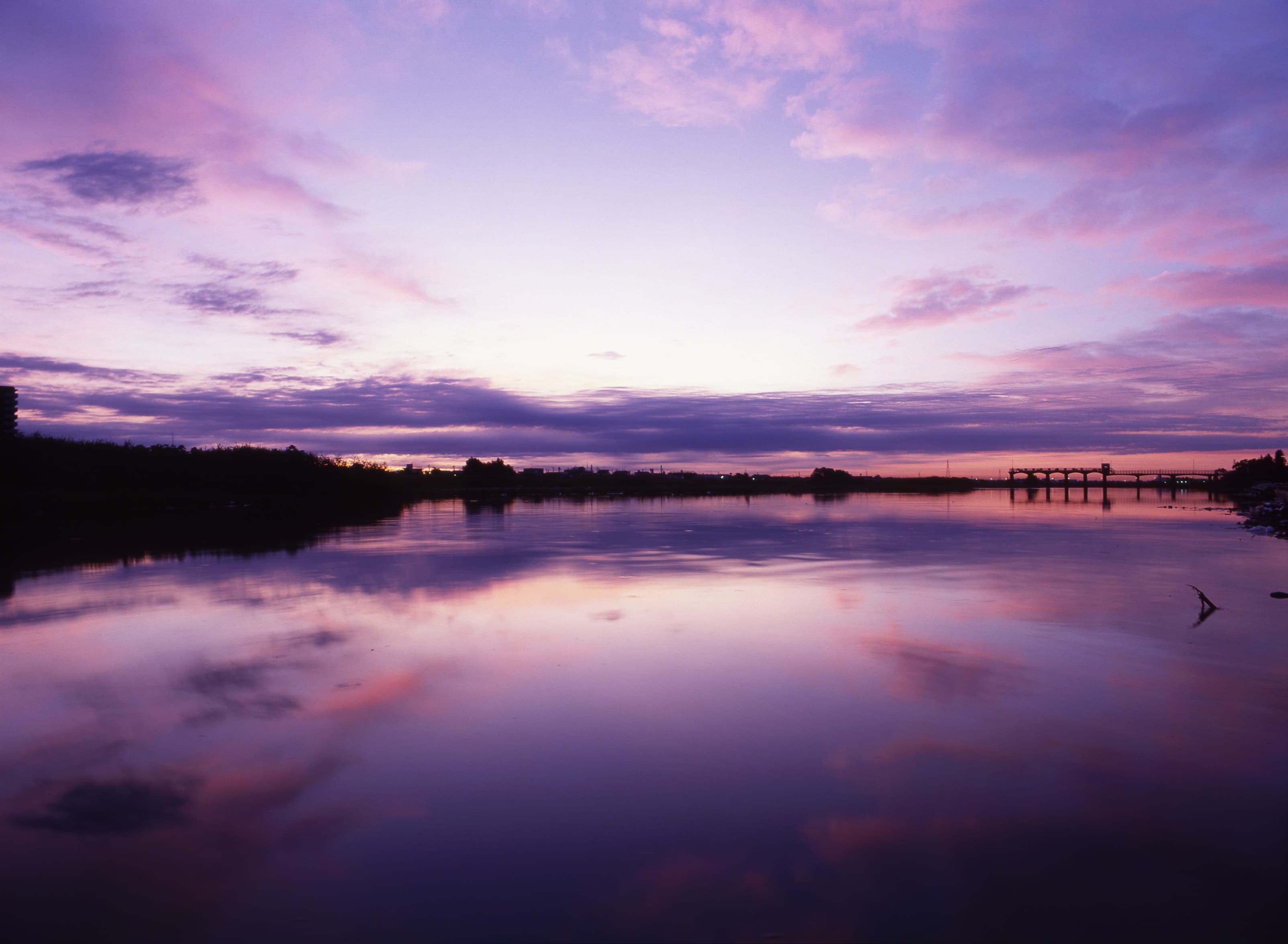 【テスト記事】シーラ審査チームのご紹介